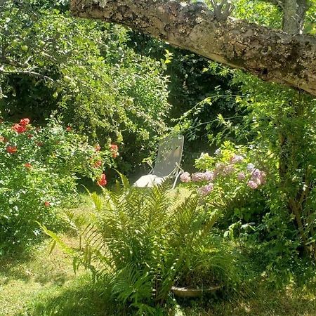 Charmant T2 Dans Chalet Familial Valdeblore Buitenkant foto